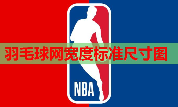 羽毛球网宽度标准尺寸图