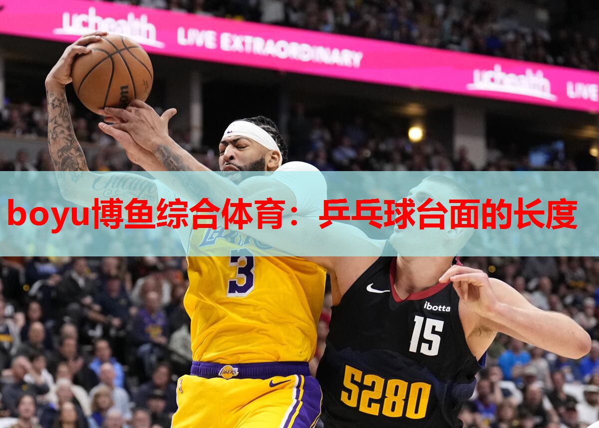 乒乓球台面的长度