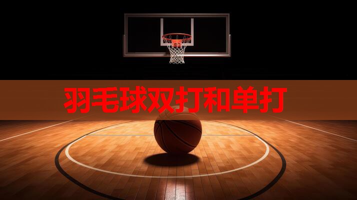 羽毛球双打和单打