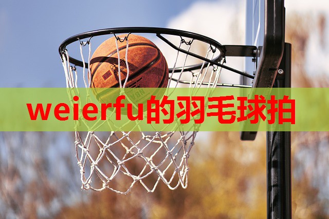 weierfu的羽毛球拍