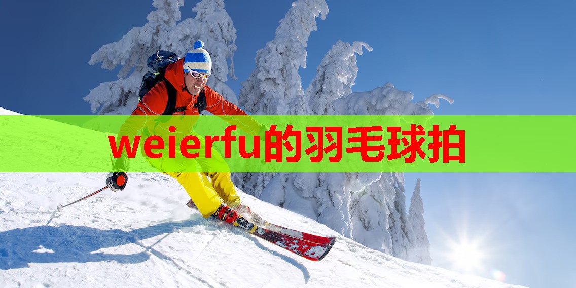 weierfu的羽毛球拍