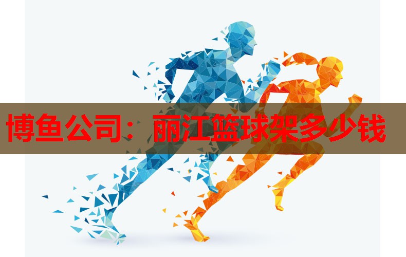 丽江篮球架多少钱