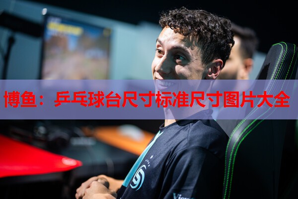 乒乓球台尺寸标准尺寸图片大全