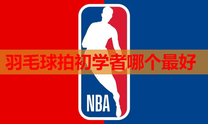 羽毛球拍初学者哪个最好