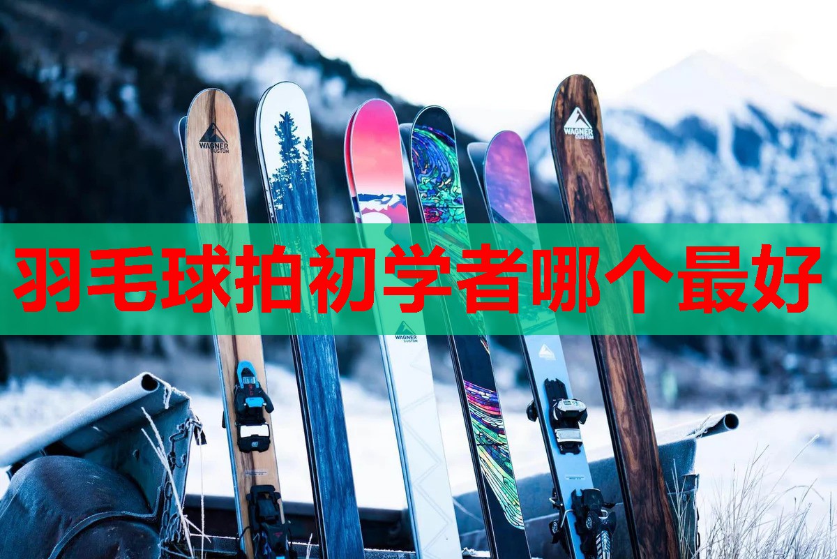 羽毛球拍初学者哪个最好