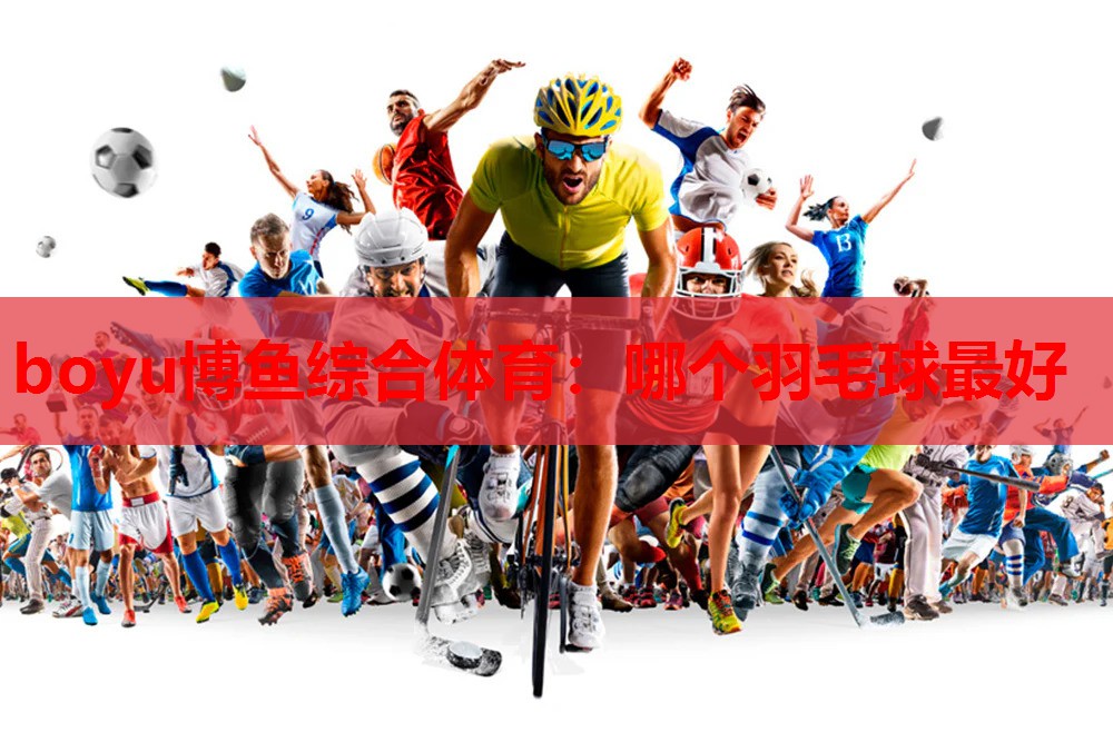 哪个羽毛球最好