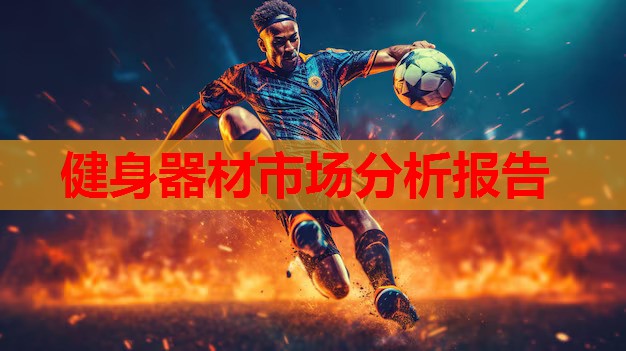 健身器材市场分析报告
