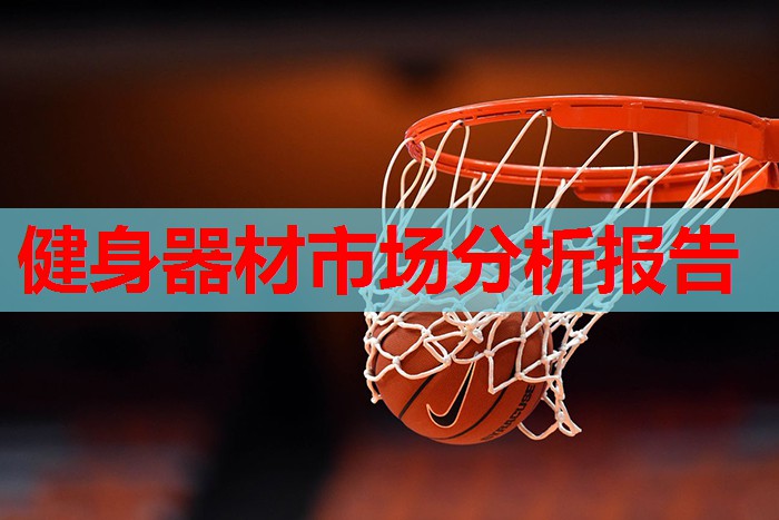 健身器材市场分析报告