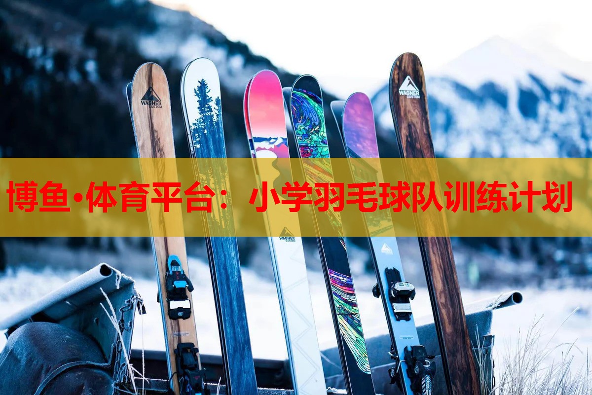 小学羽毛球队训练计划