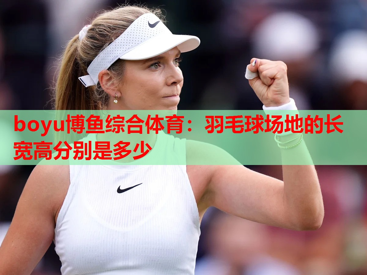 羽毛球场地的长宽高分别是多少