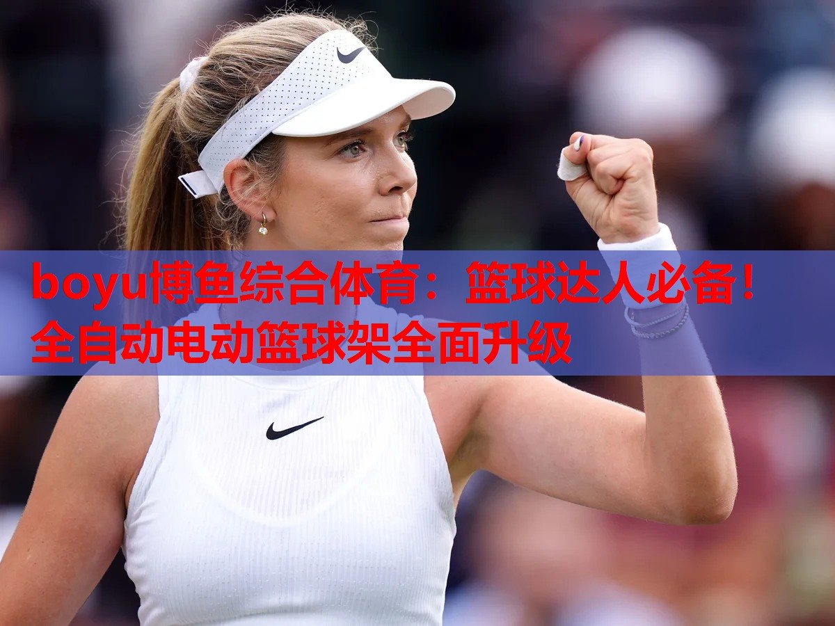 篮球达人必备！全自动电动篮球架全面升级