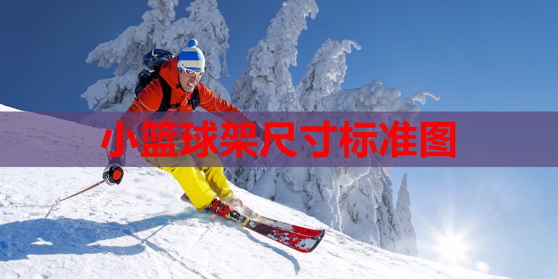 小篮球架尺寸标准图