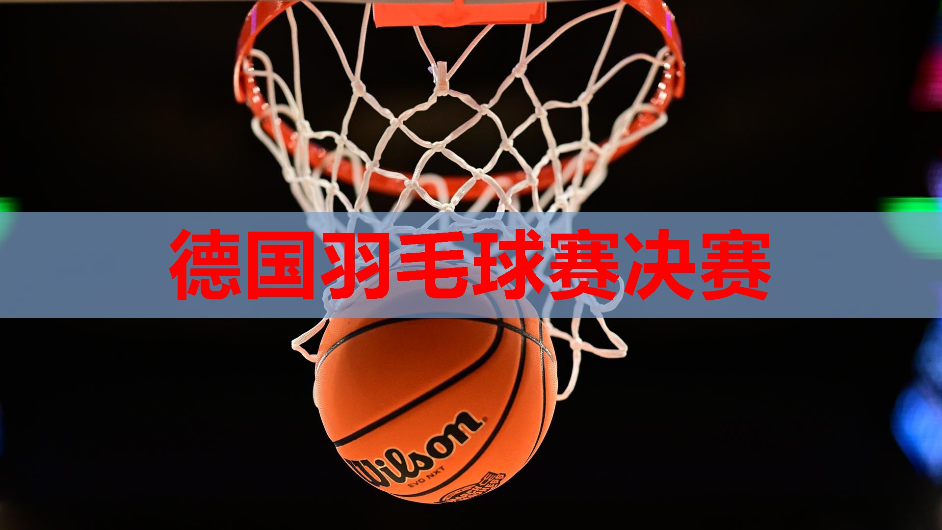 德国羽毛球赛决赛