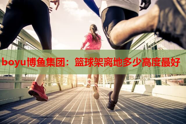 篮球架离地多少高度最好