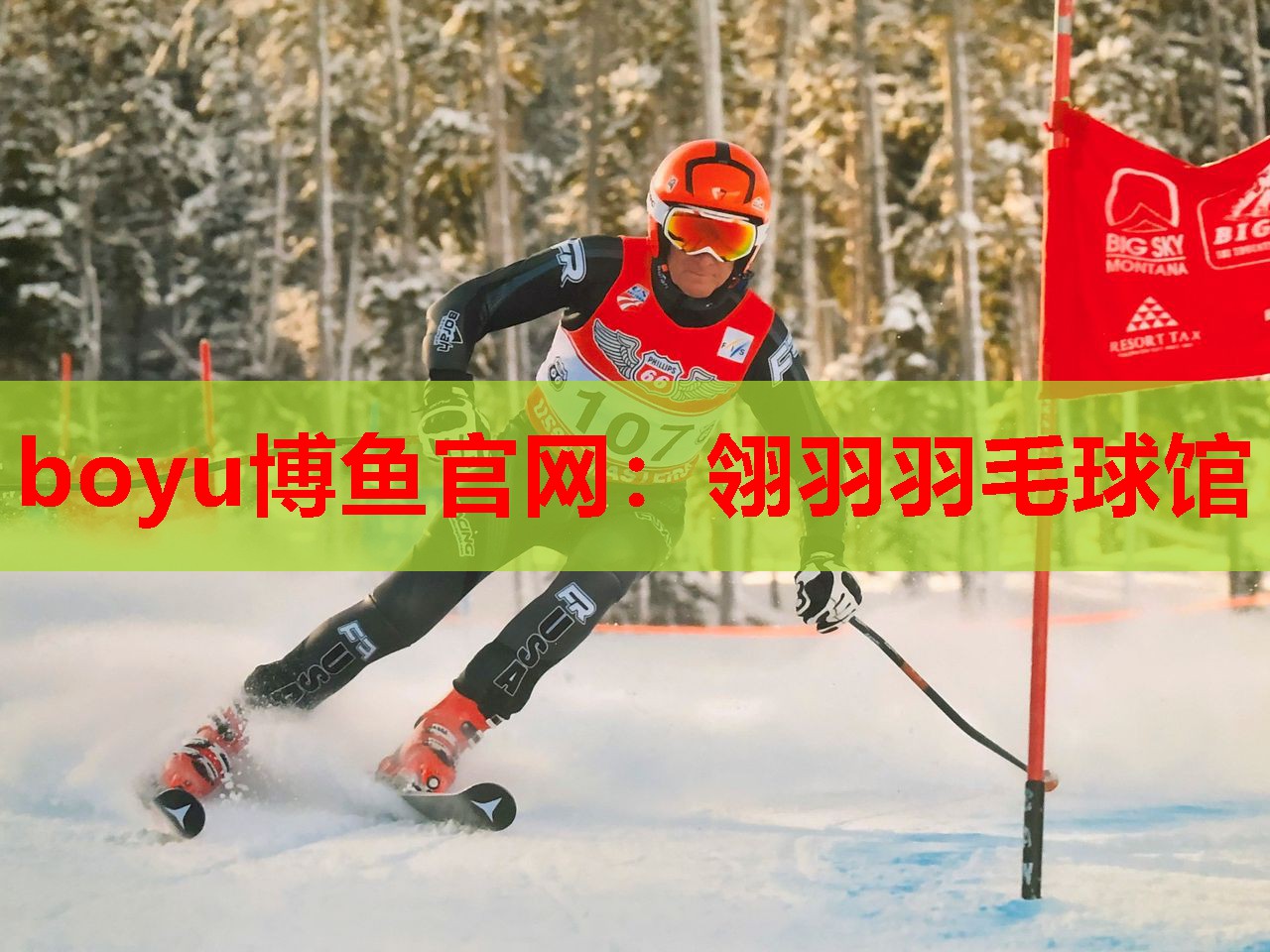 翎羽羽毛球馆