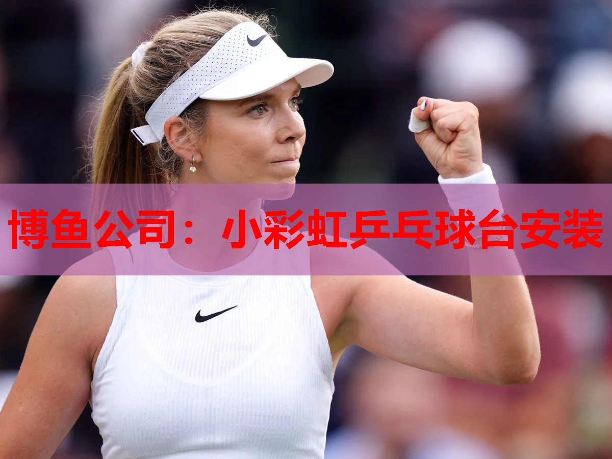 小彩虹乒乓球台安装