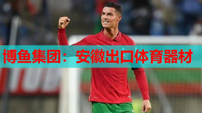 安徽出口体育器材