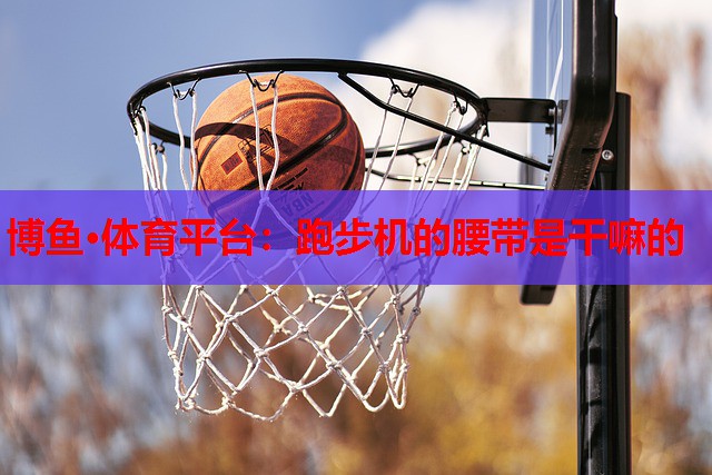 跑步机的腰带是干嘛的