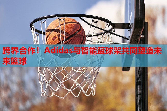 跨界合作！Adidas与智能篮球架共同塑造未来篮球